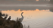 Beaulieu River Photo Comp Runner Up Sarah Webber