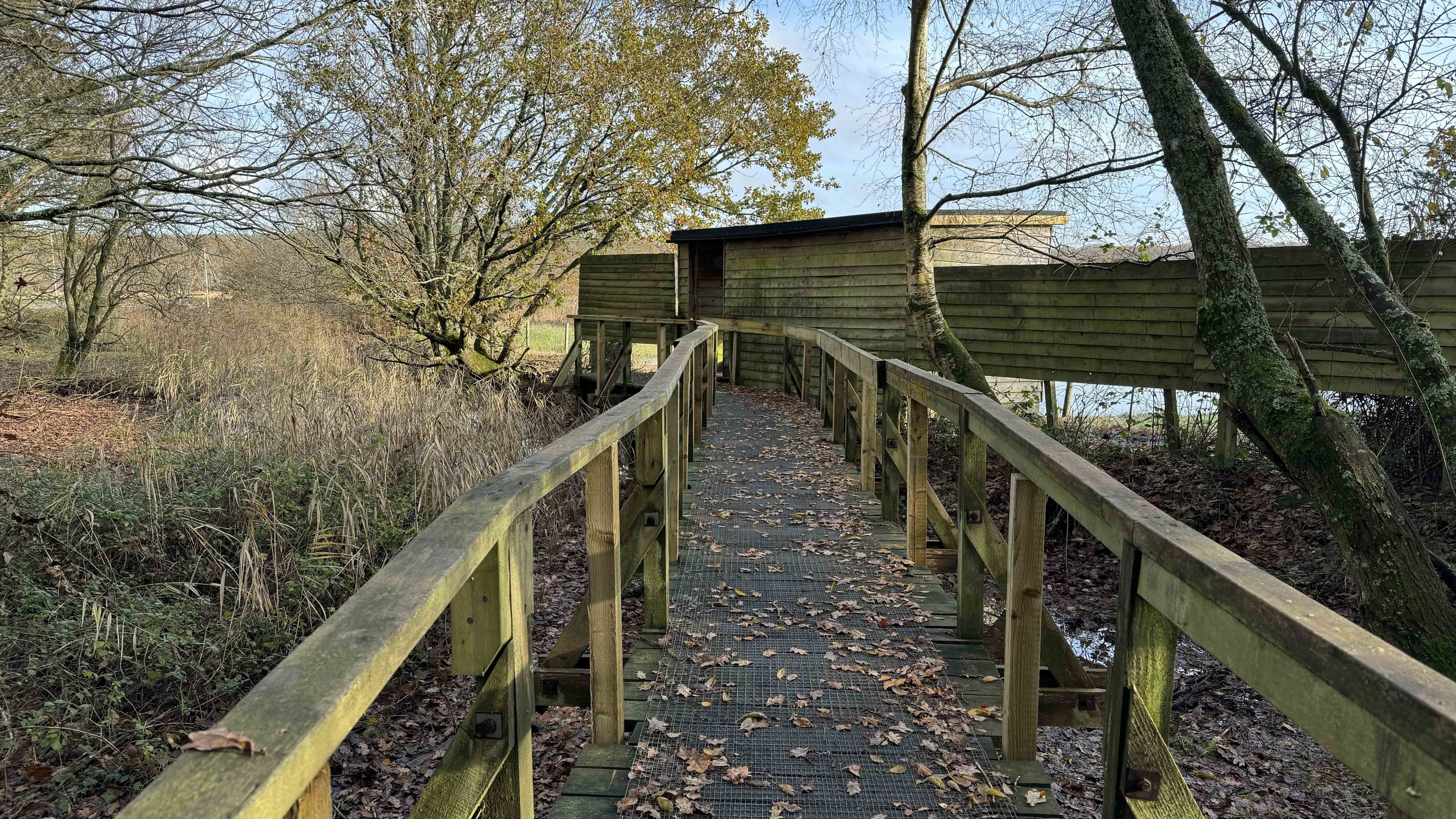 Bird Hide At Keeping Marsh Web (1)