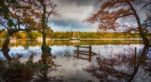 Beaulieu River Photo Comp Runner Up Autumn Colours By Maggie White