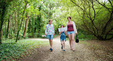 Bh Woodland Walk Bea 9
