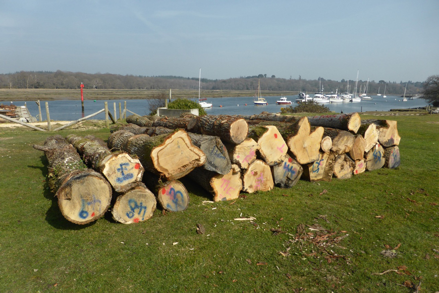 Shipwright school blog - timber arrives at buckler's hard